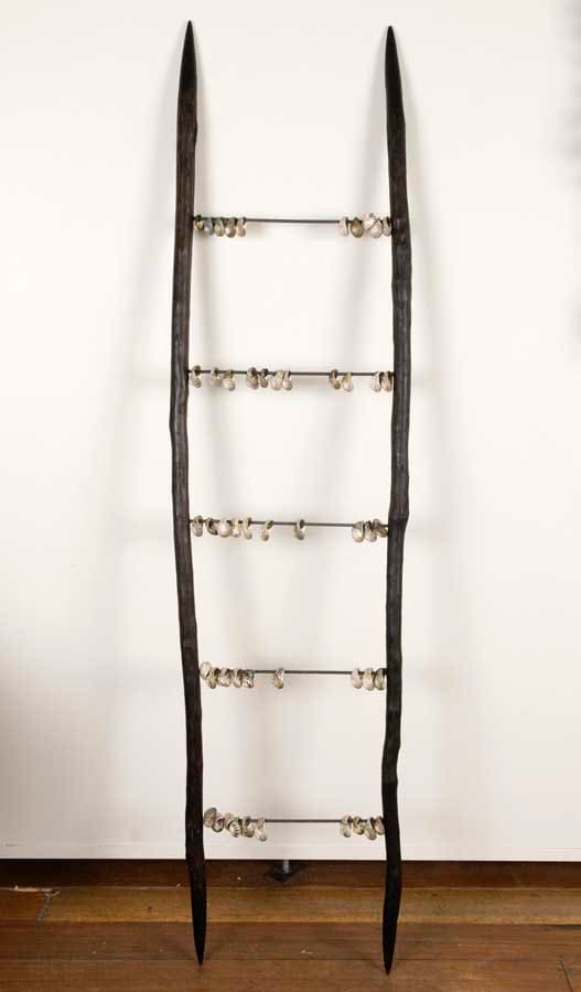 Julie Gough, with Tony Thorne, The missing, 2008