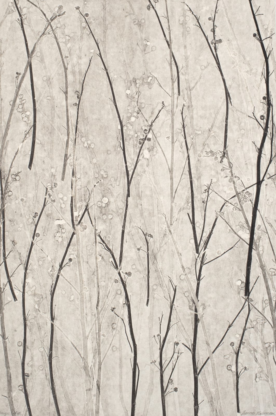 Frances Malcomson, Urban Whispers, 2024