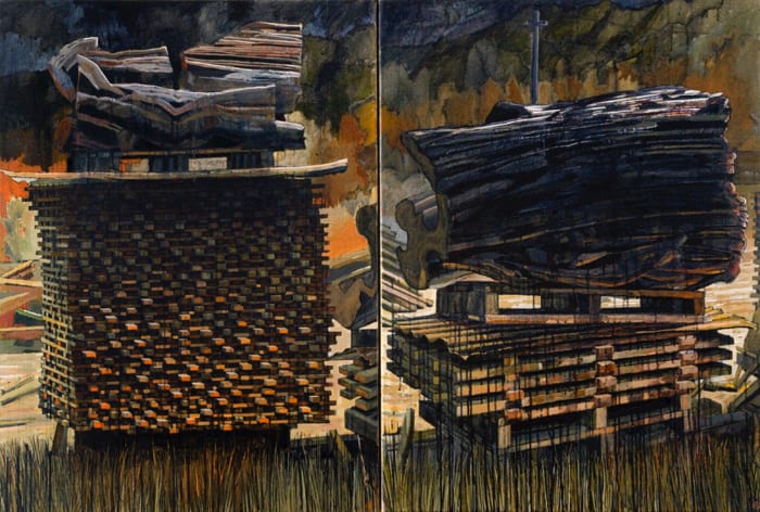 Raymond Arnold, Growth rings - the dynamics of nature and culture, 2006