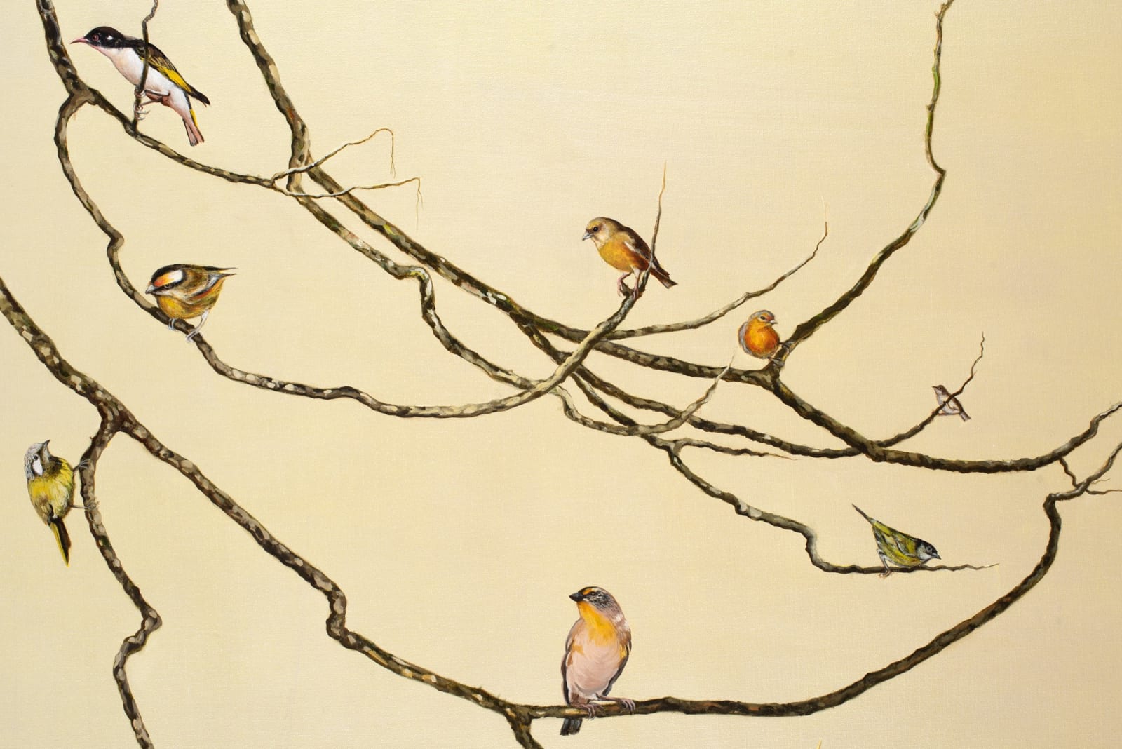 Helen Wright, Follow the sun, 2023/24