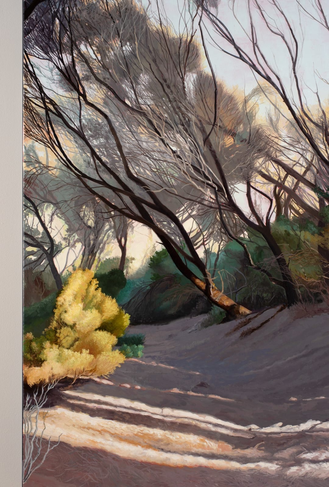 David Keeling, Shadows dance, 2024