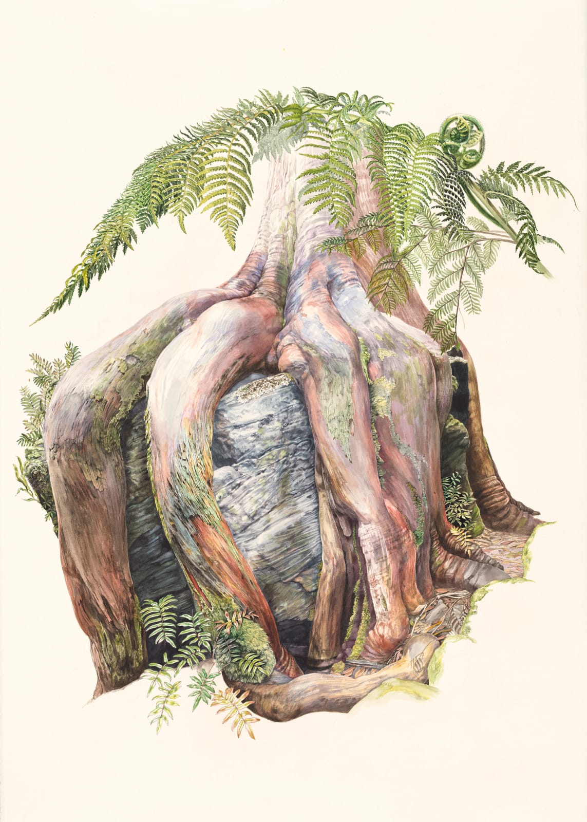 Lynne Uptin, Eucalyptus tasmaniensis: Octopus Tree, 2023