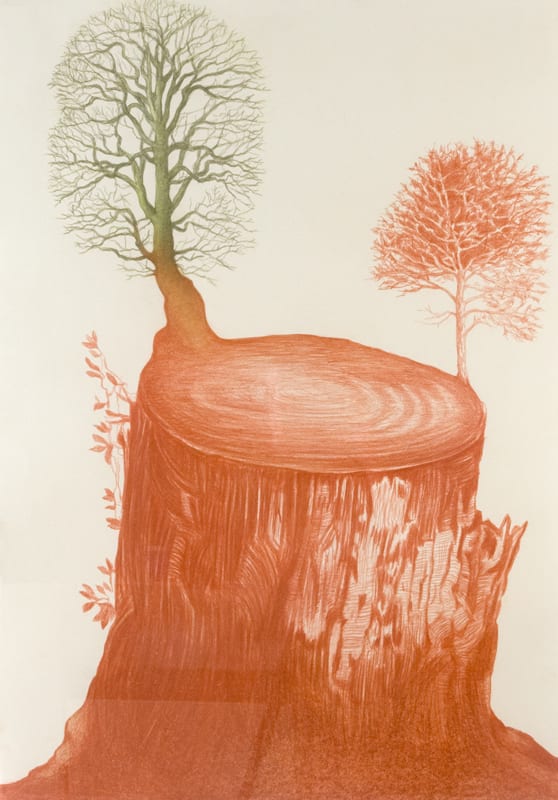 Helen Wright, Wonderland (wood), 2011