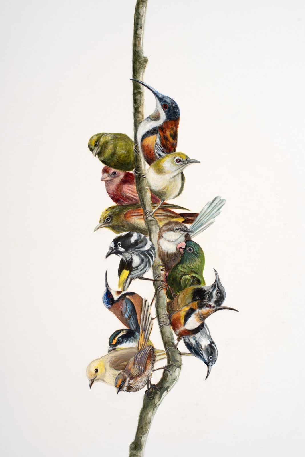 Helen Wright, Climate cluster 1 , 2024