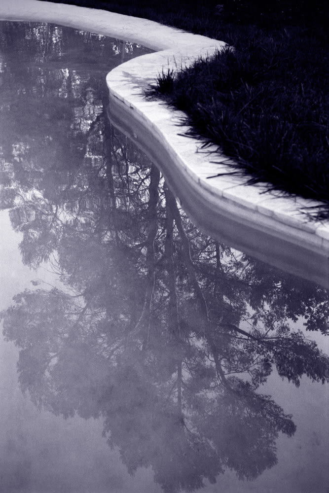 Jane Burton, Limbo #3, 2011