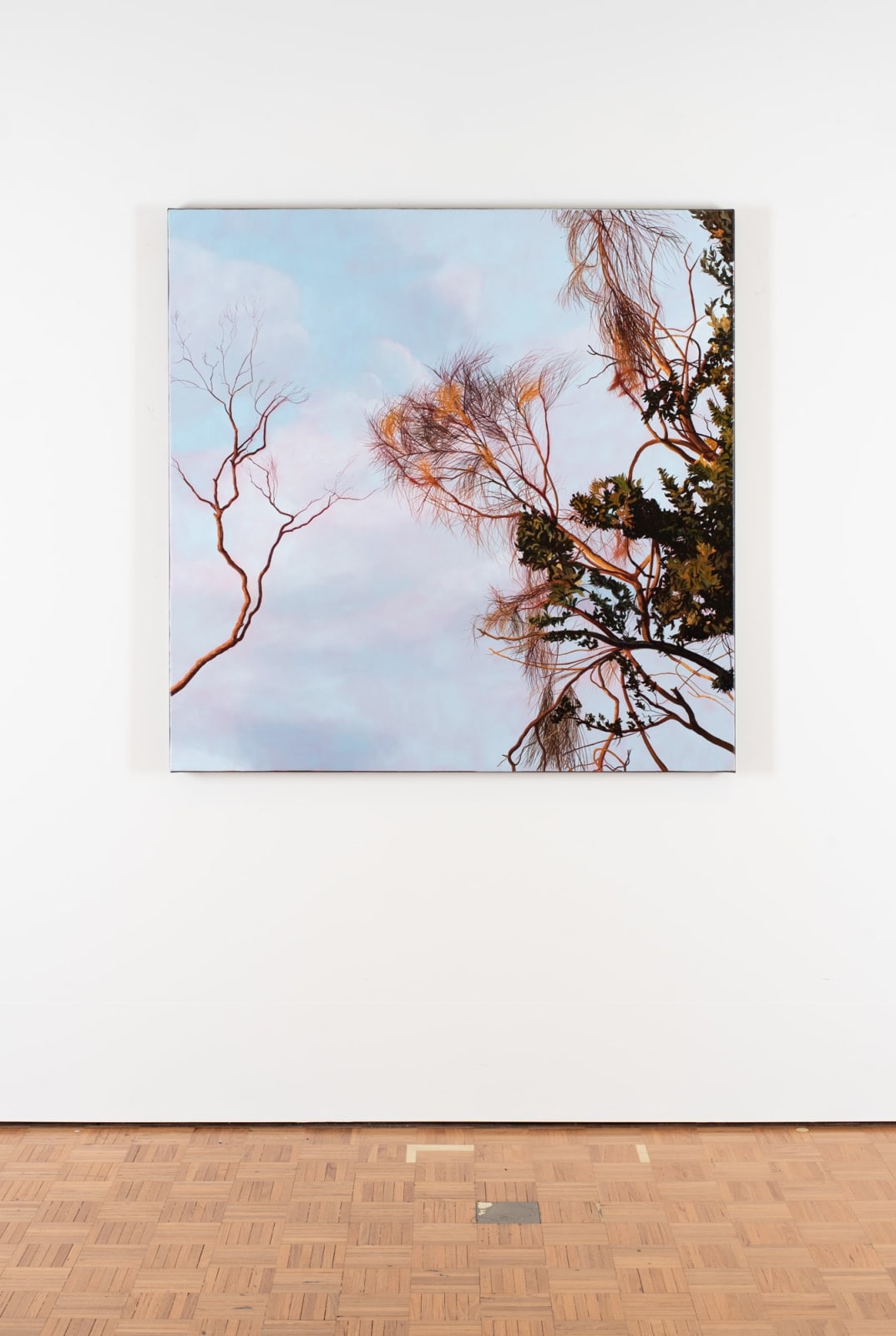 David Keeling, Morning detail. A favourable sky, 2022