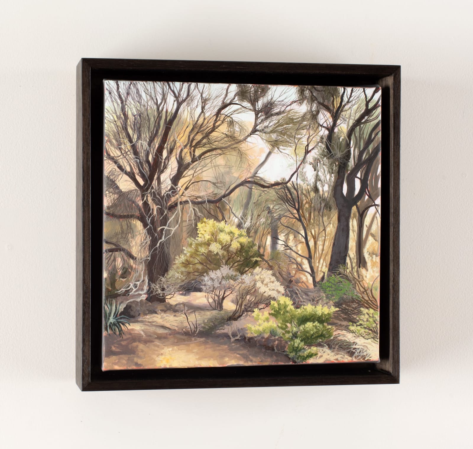 David Keeling, Autumn light, Narawntapu, 2024