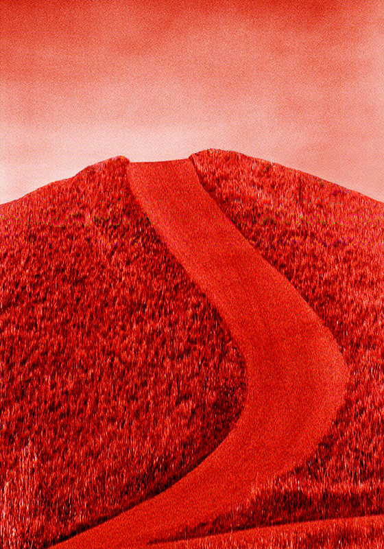 Pat Brassington, Going, 2010