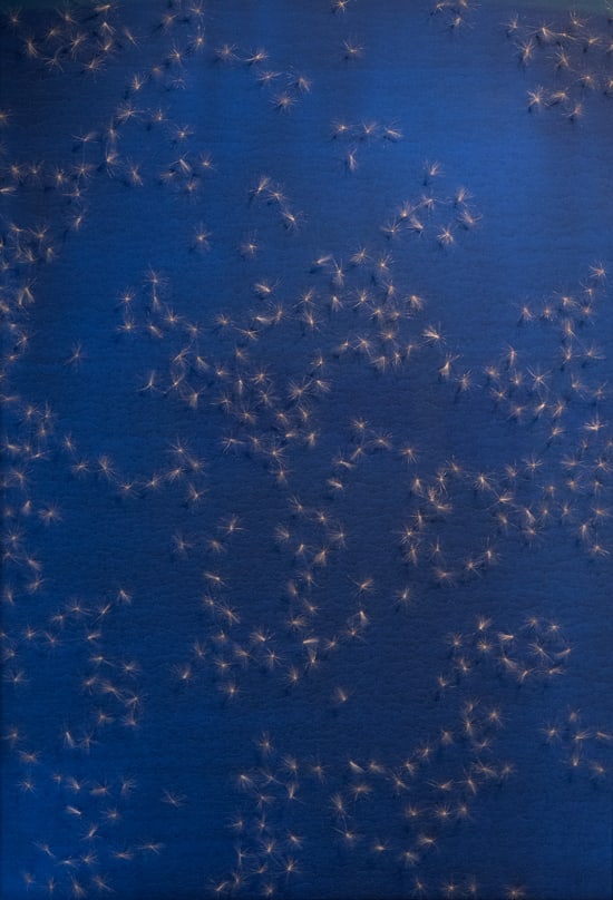 Sara Maher, Weight and elevation, 2010 - 2016