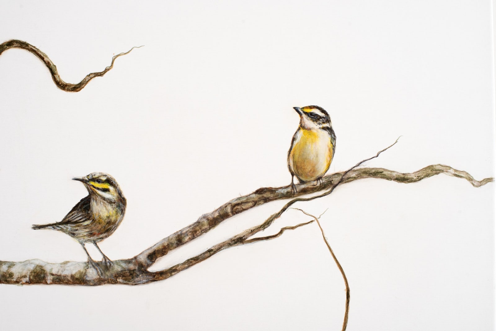 Helen Wright, Social club - some stories are worth telling, 2024