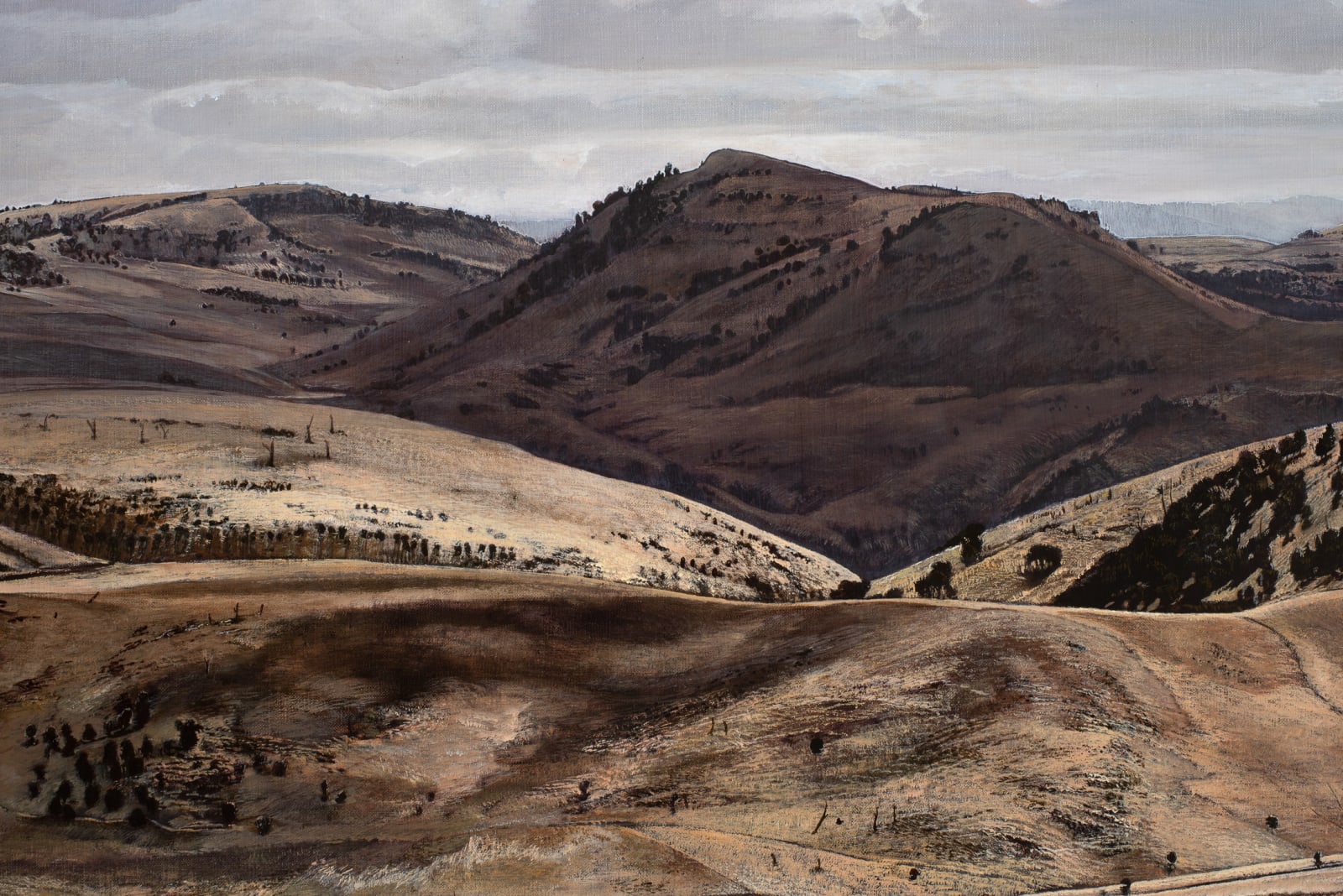 Stephanie Tabram, On Hamilton Plain, 2021