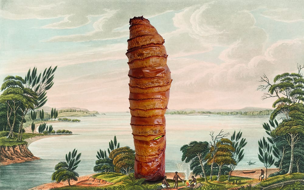 Joan Ross, The dinner guest, 2013