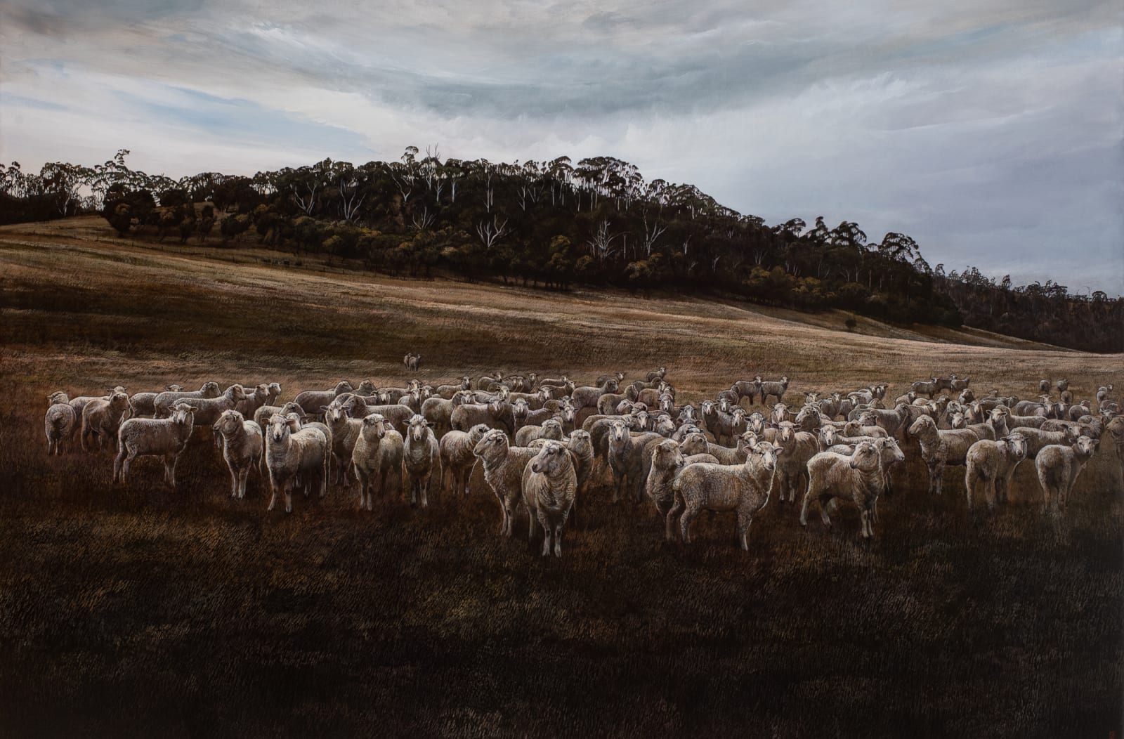 Stephanie Tabram, Wattle & Lamb, 2021