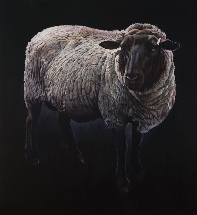 Stephanie Tabram, Ewe, 2015