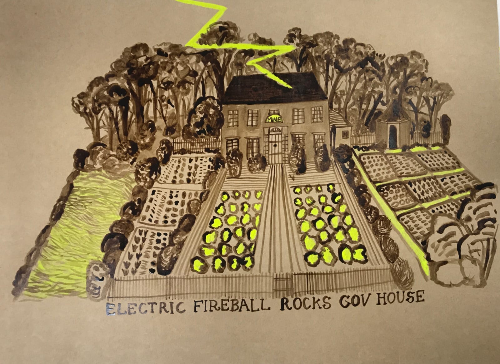 Joan Ross, Electric Fireball rocks Gov house, 2019
