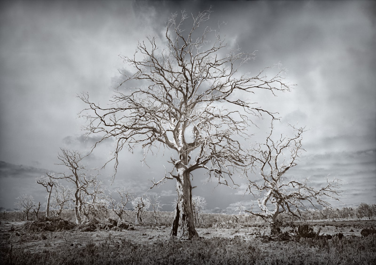 David Stephenson, 2021/119 Near yingina/Great Lake, 2021