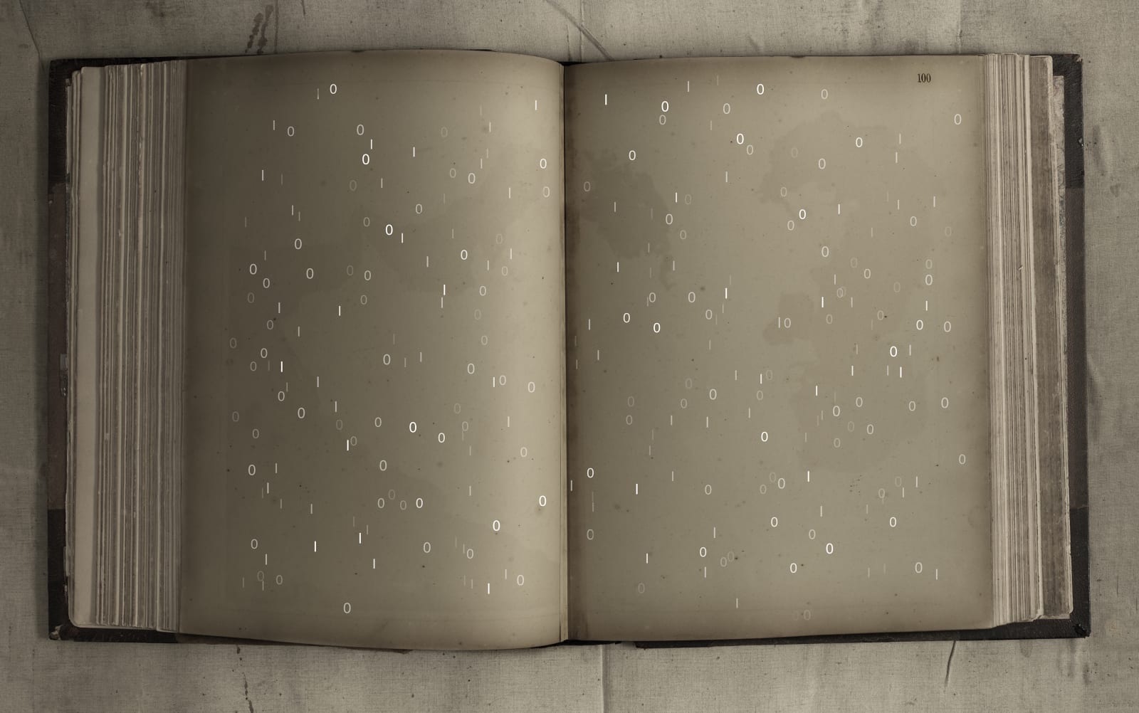 Brigita Ozolins, Page 100, 2019