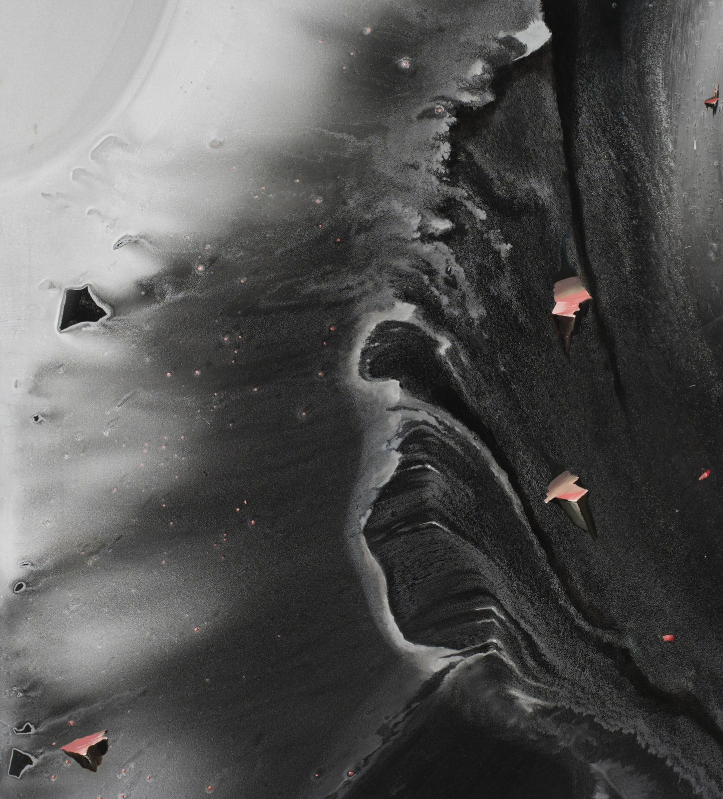 Megan Walch, Black Swan, 2019