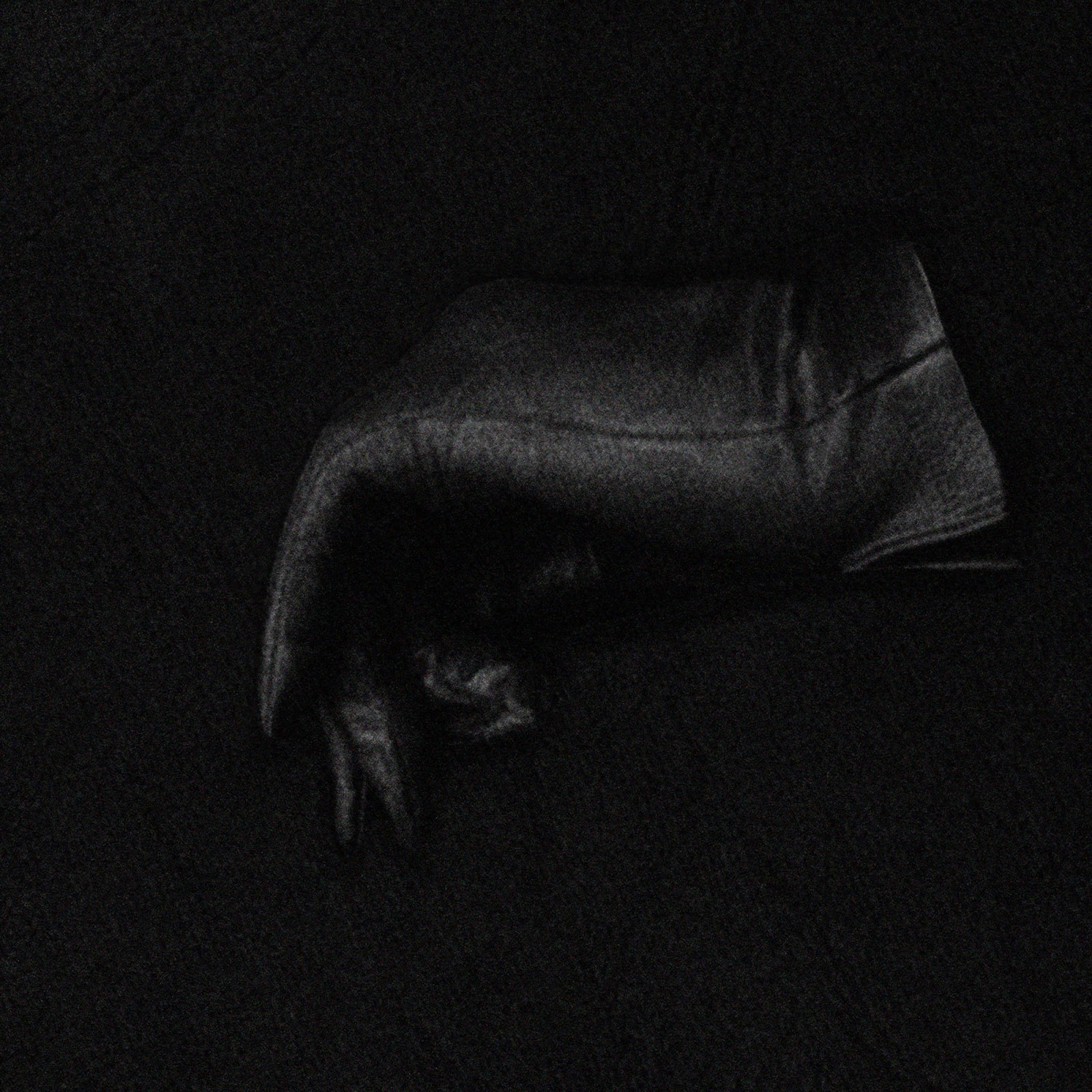 Pat Brassington, Barb, 2020