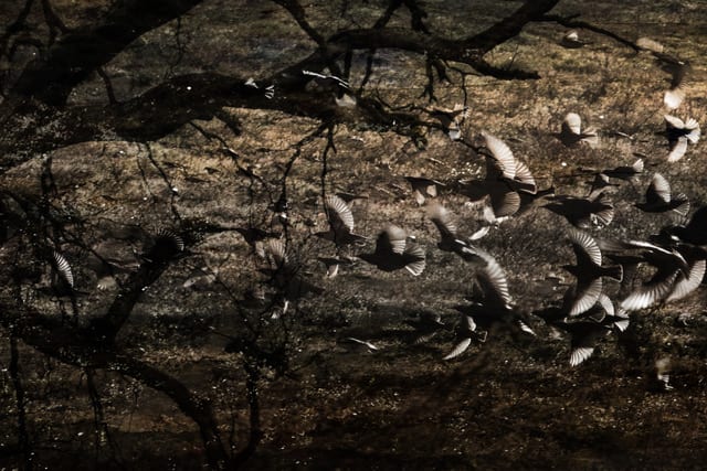 Troy Ruffels, Interval #1, 2017