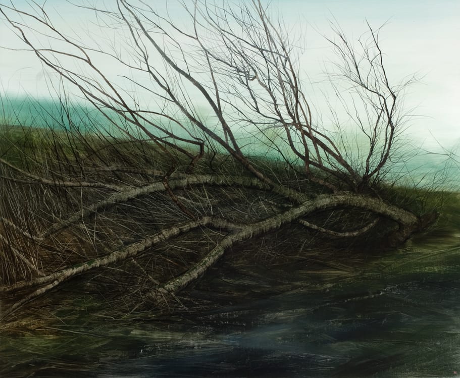 Nicholas Blowers, Winter Willow IV, 2011