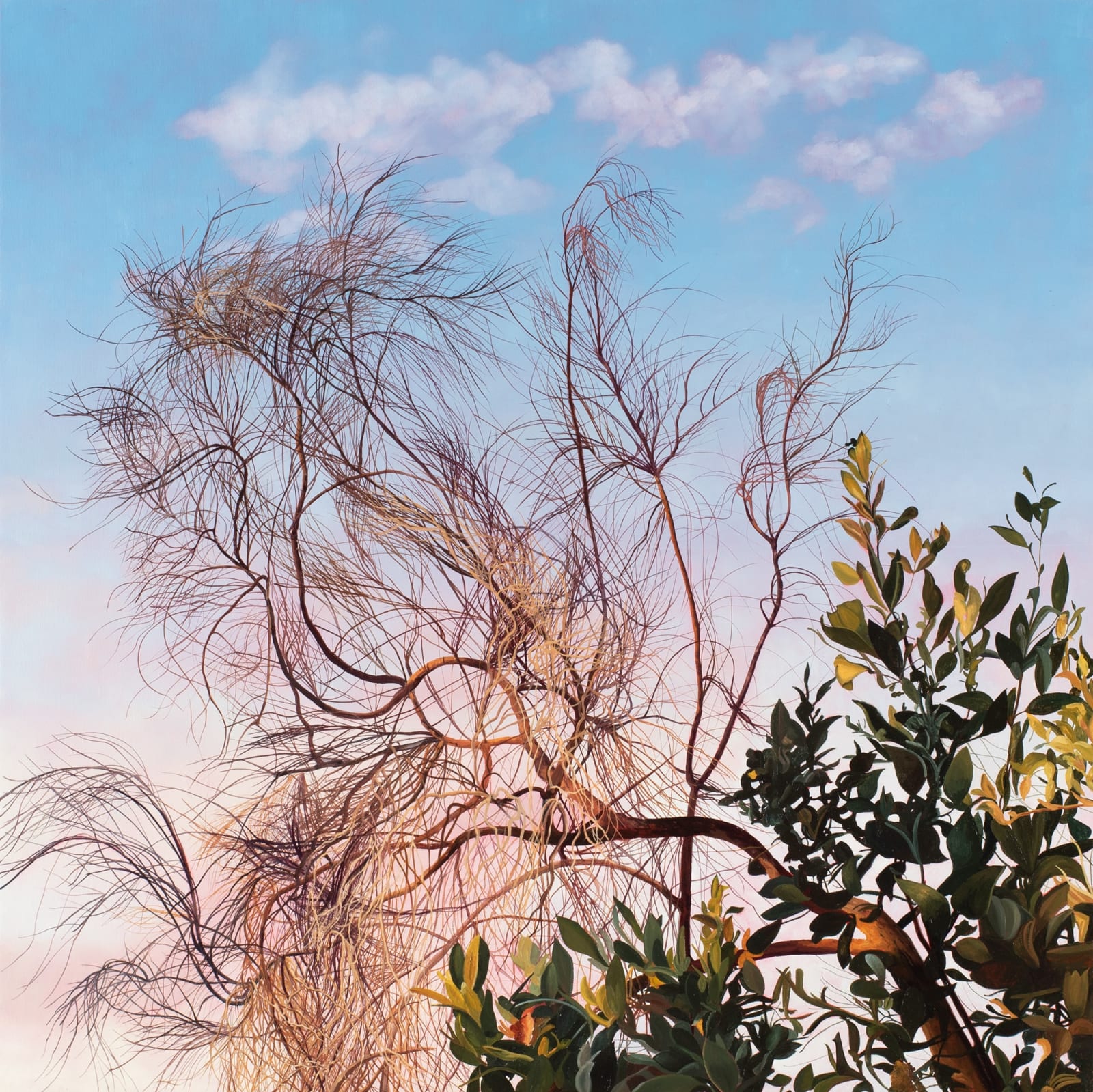 David Keeling, Pink sky in the morning, 2022