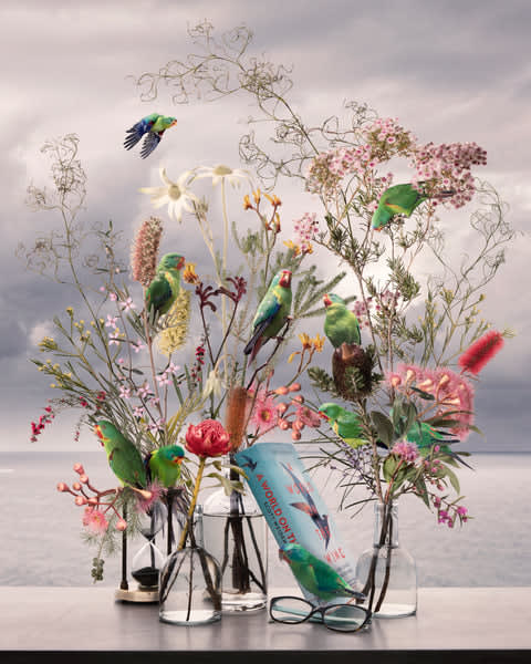 Pamela Pauline, On the Wing, 2023