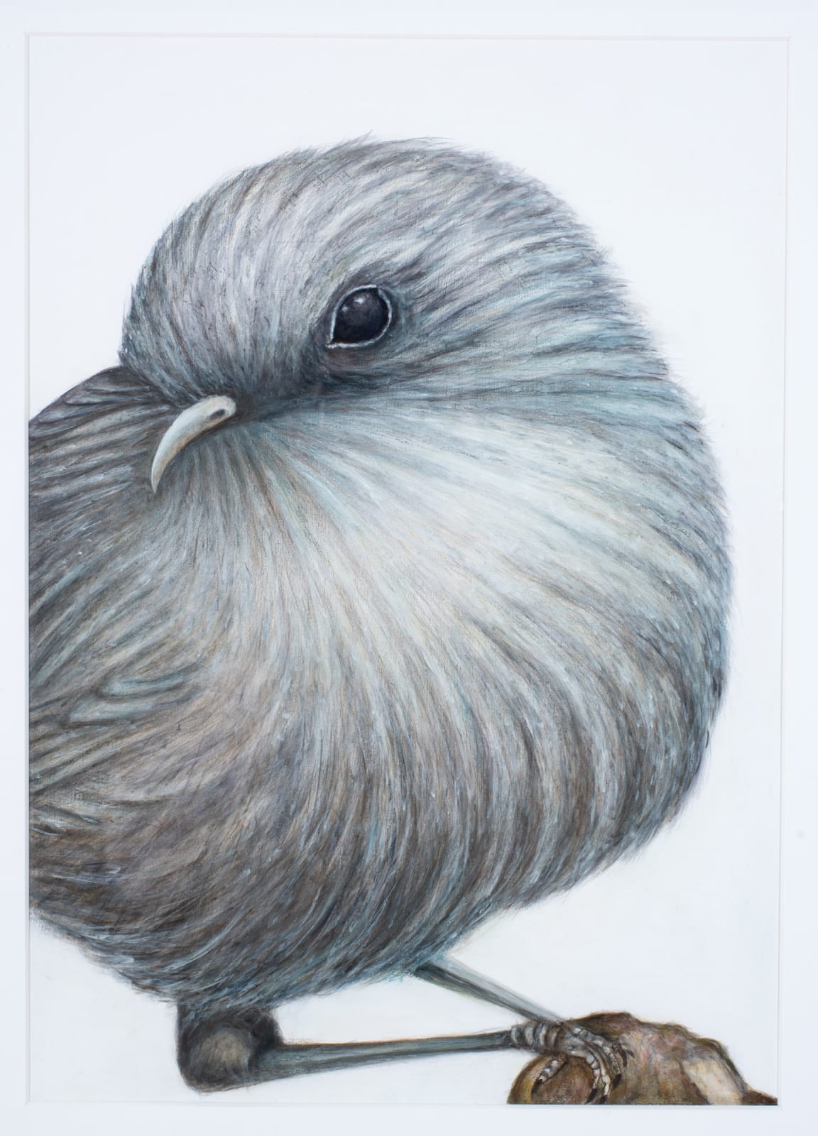 Helen Wright, Stare Power, 2023