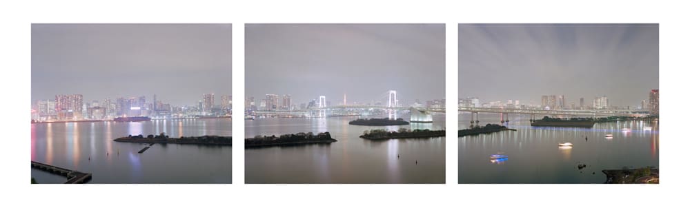 David Stephenson, Tokyo Bay, 2010