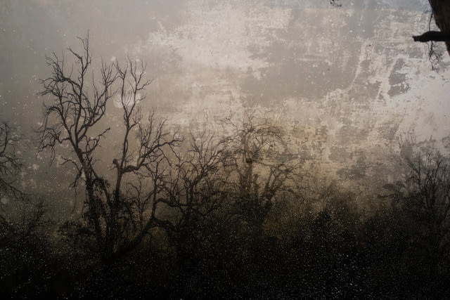 Troy Ruffels, As night falls, 2017