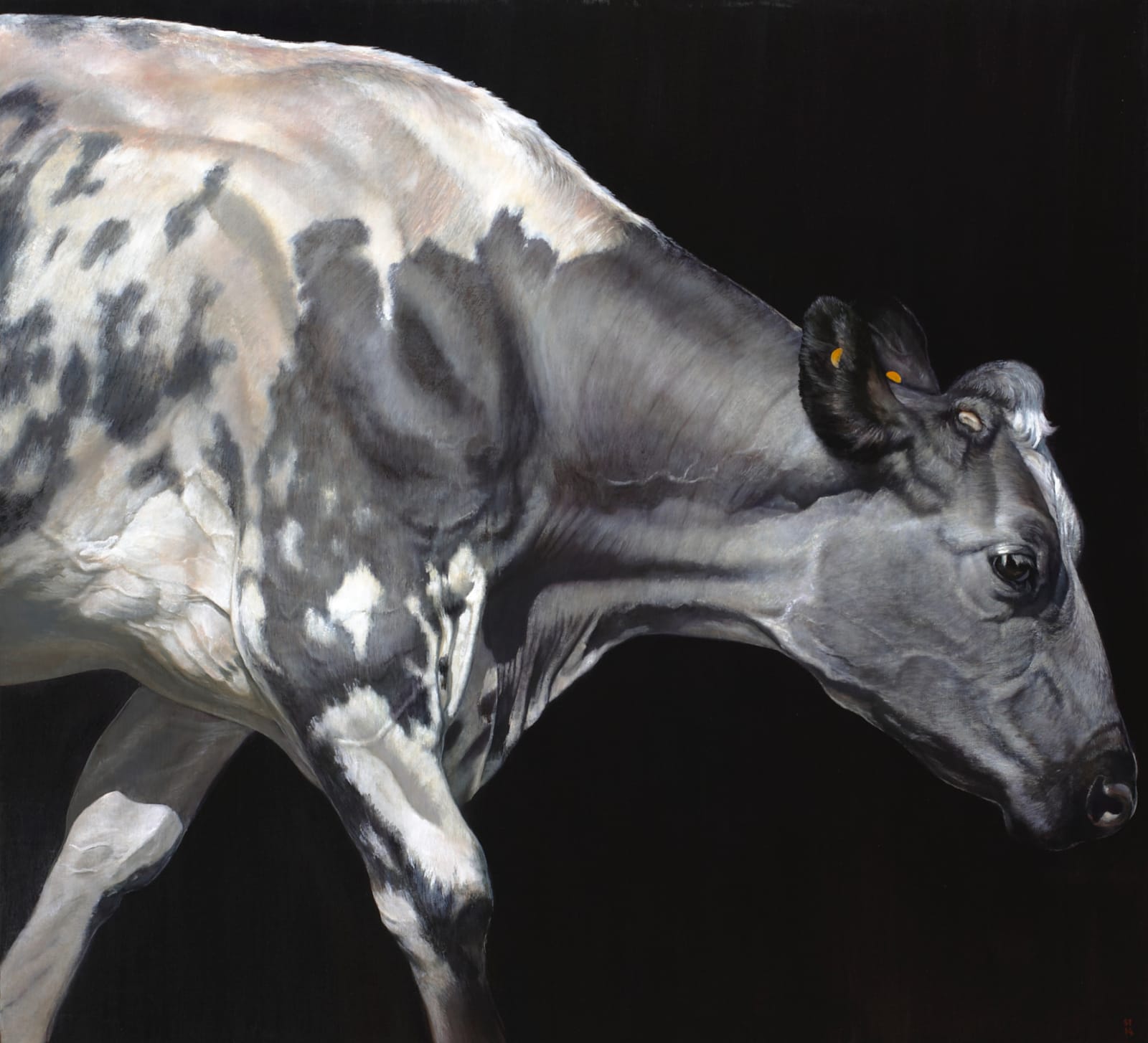 Stephanie Tabram, Heartbeat, 2014