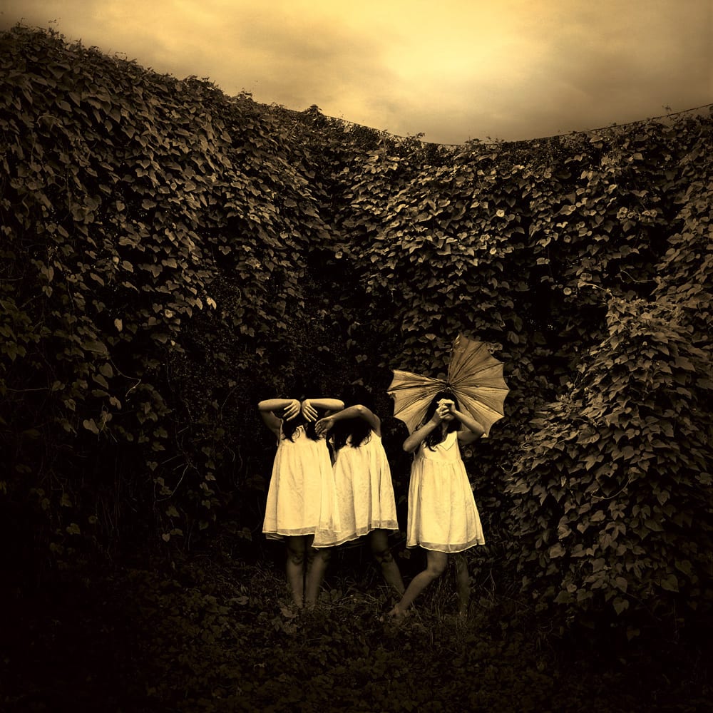 Jane Burton, Ivy 03, 2009