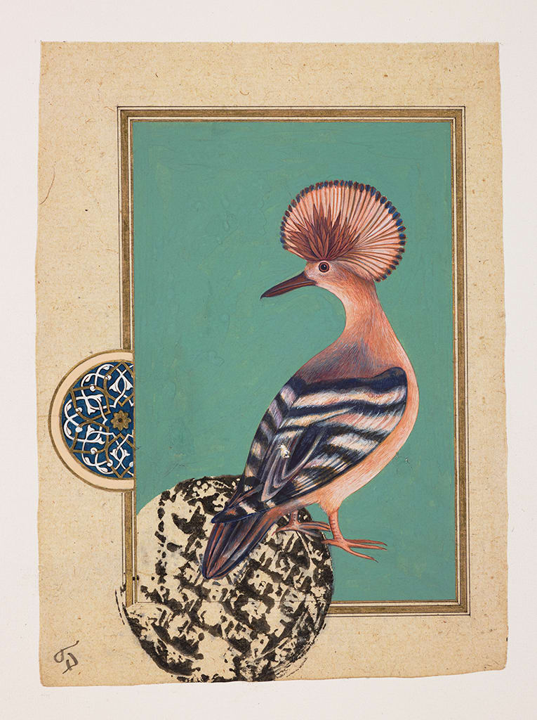 Sue Lovegrove, Hoopoe, Upapa epops, 2015