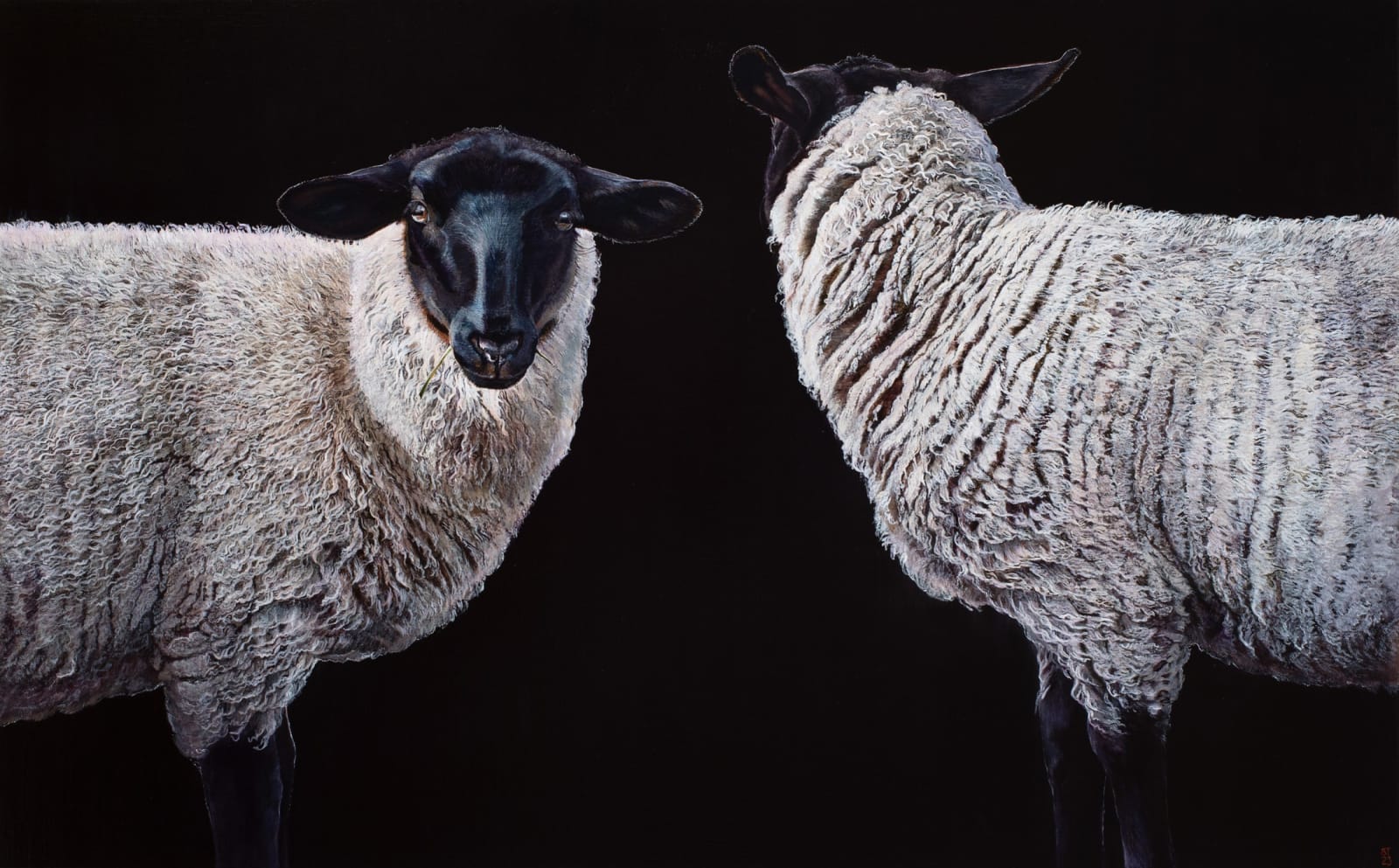 Stephanie Tabram, Ewe with Ram, 2023
