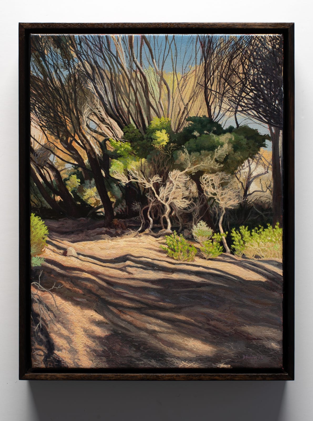 David Keeling, Following the Light (Narawntapu) 1, 2023