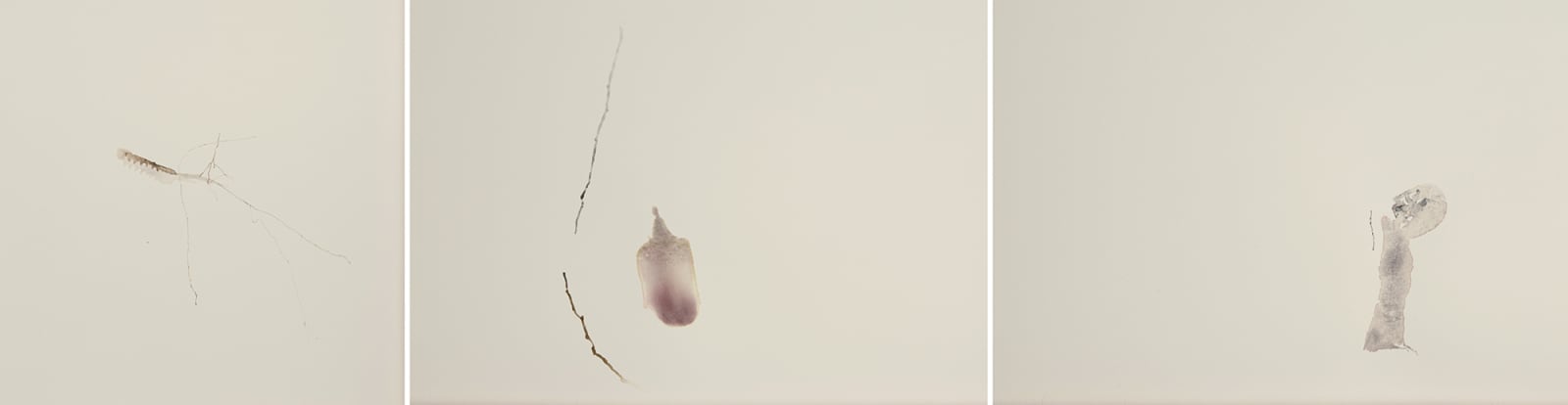 Sara Maher, untitled, 2020