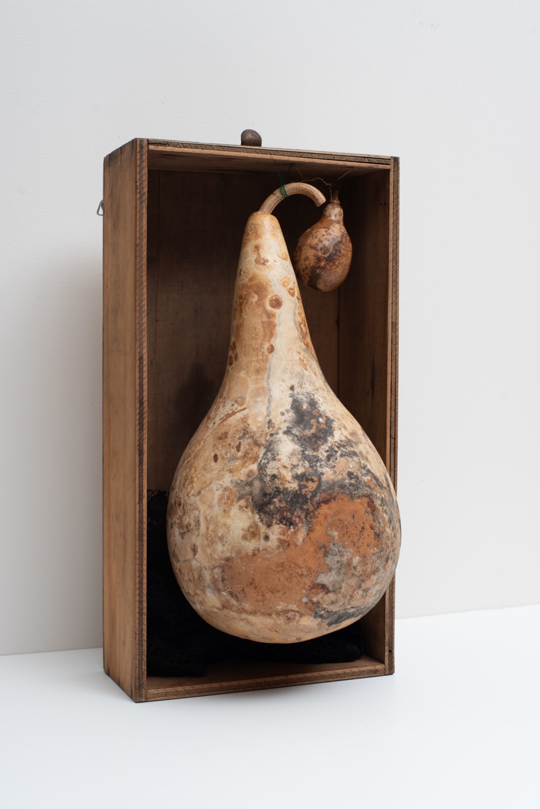 Irene Briant, Gourd Box, 2024
