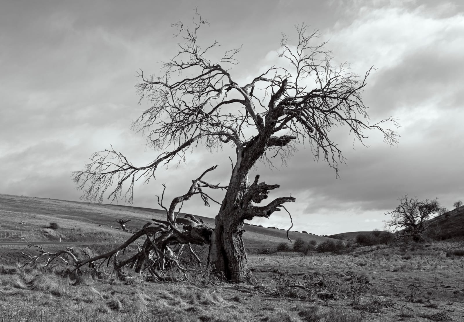 David Stephenson, Lyell Hwy near Gretna 2, 2023