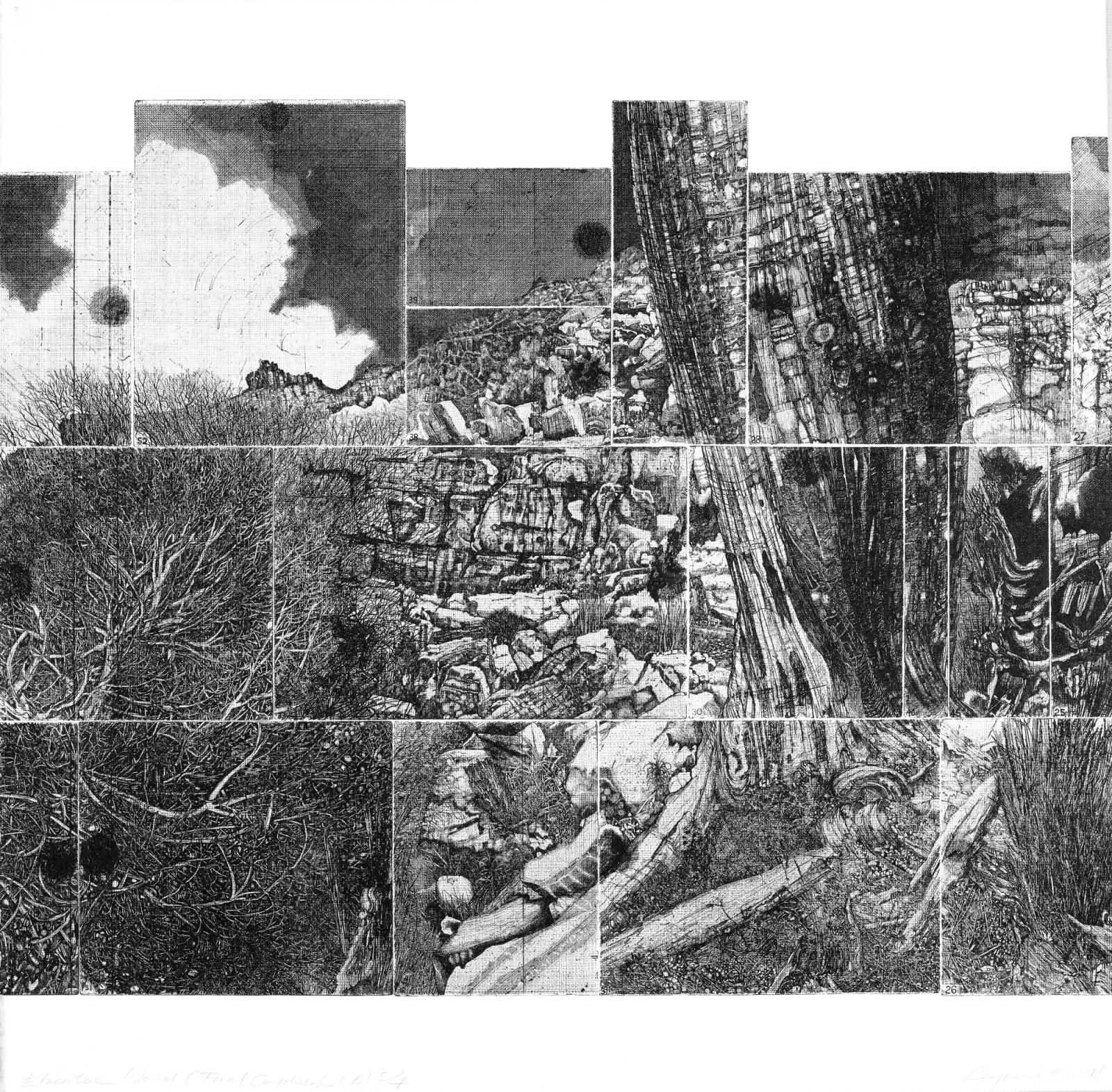 Raymond Arnold, Elsewhere World – Consolidated B, 2019