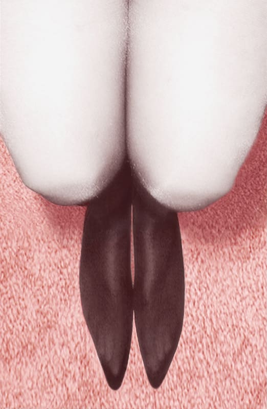 Pat Brassington, Avid, 2004