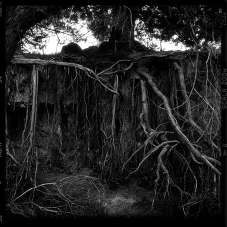 Jane Burton, Badlands 4, 2001