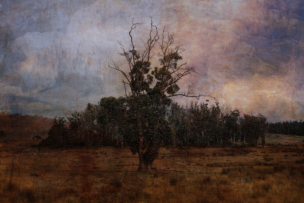 Troy Ruffels, Islands within islands, 2021