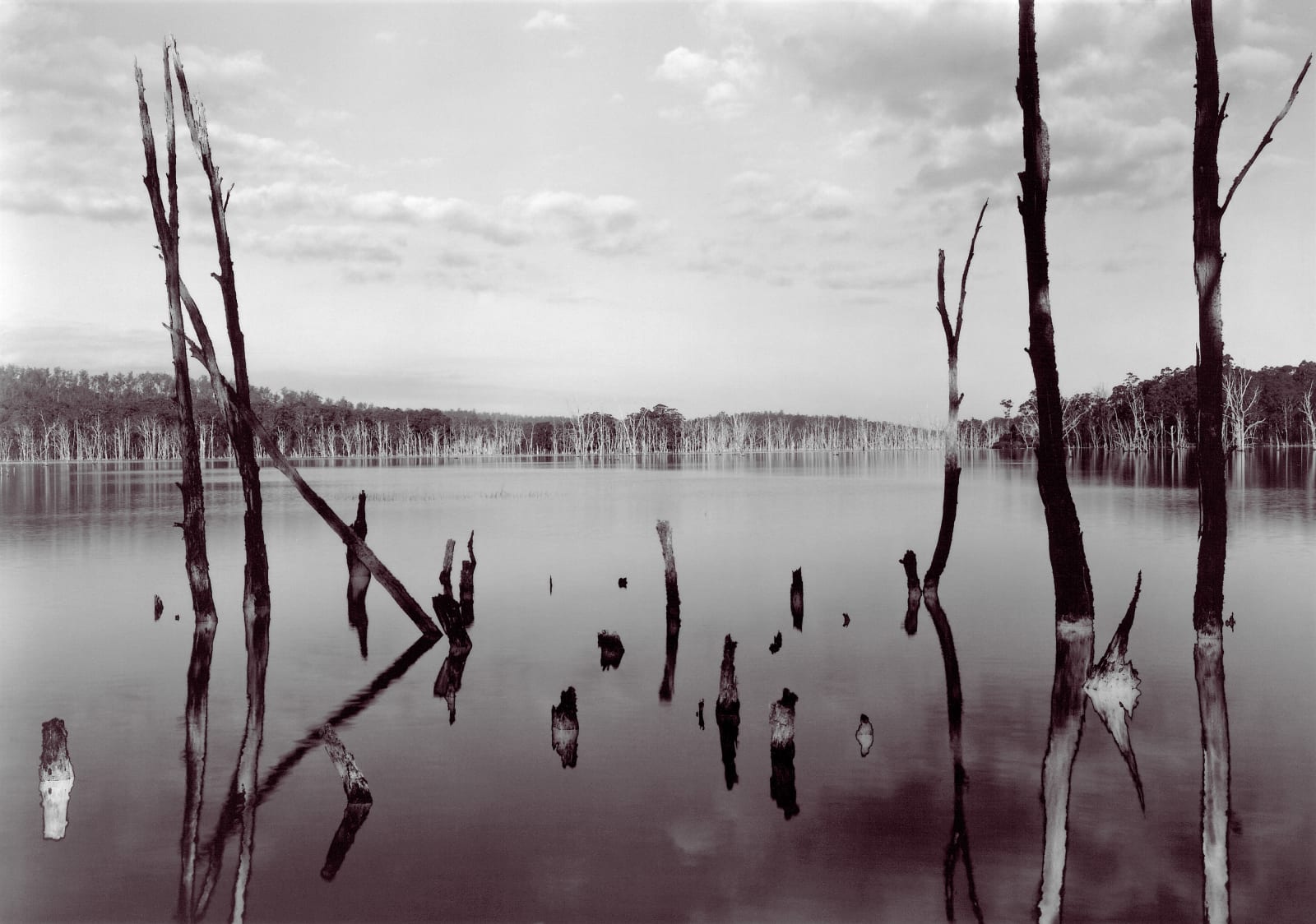 David Stephenson, Drowned No.141, 2002