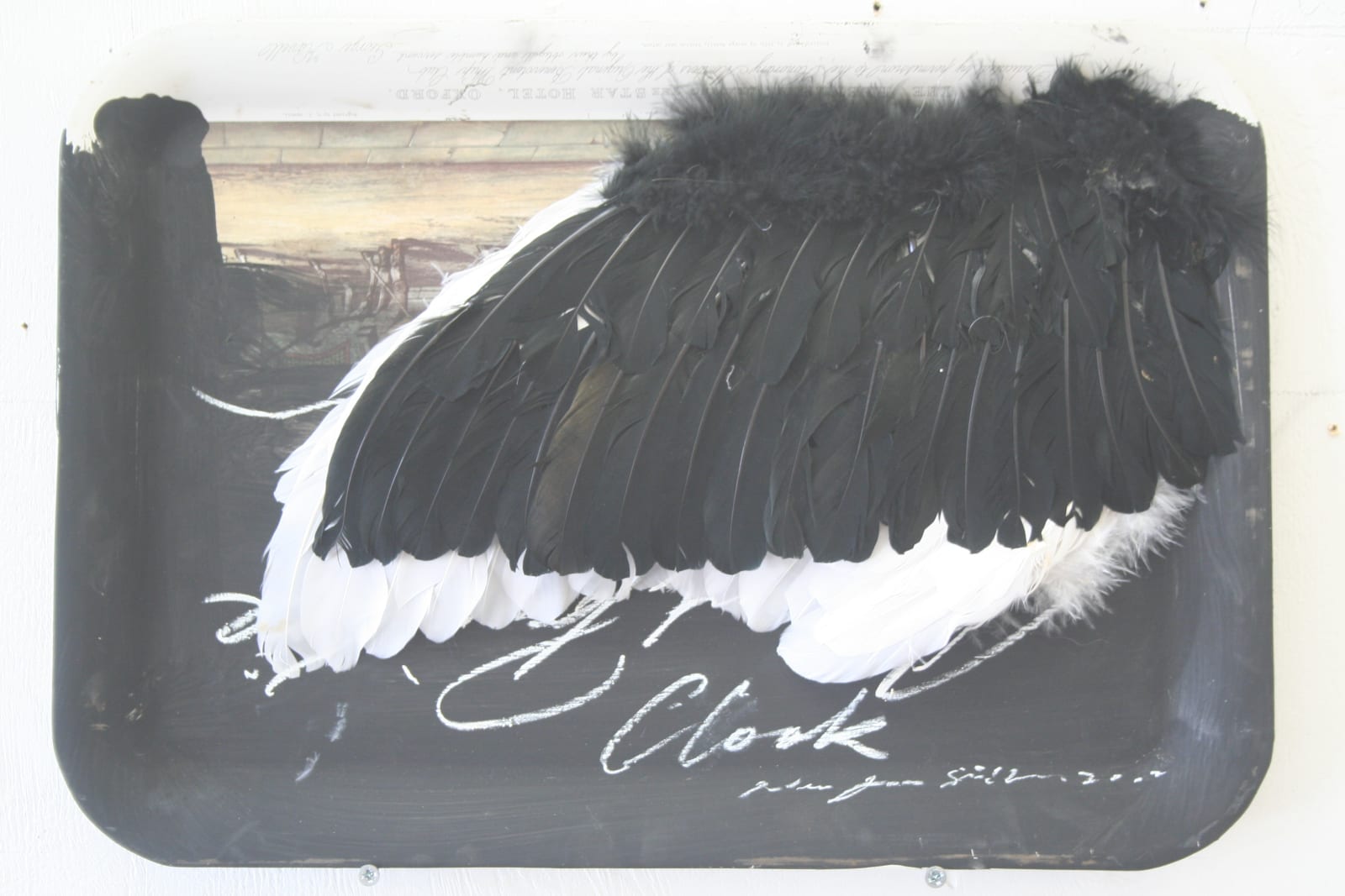 Peter James Smith, Cloak, 2013