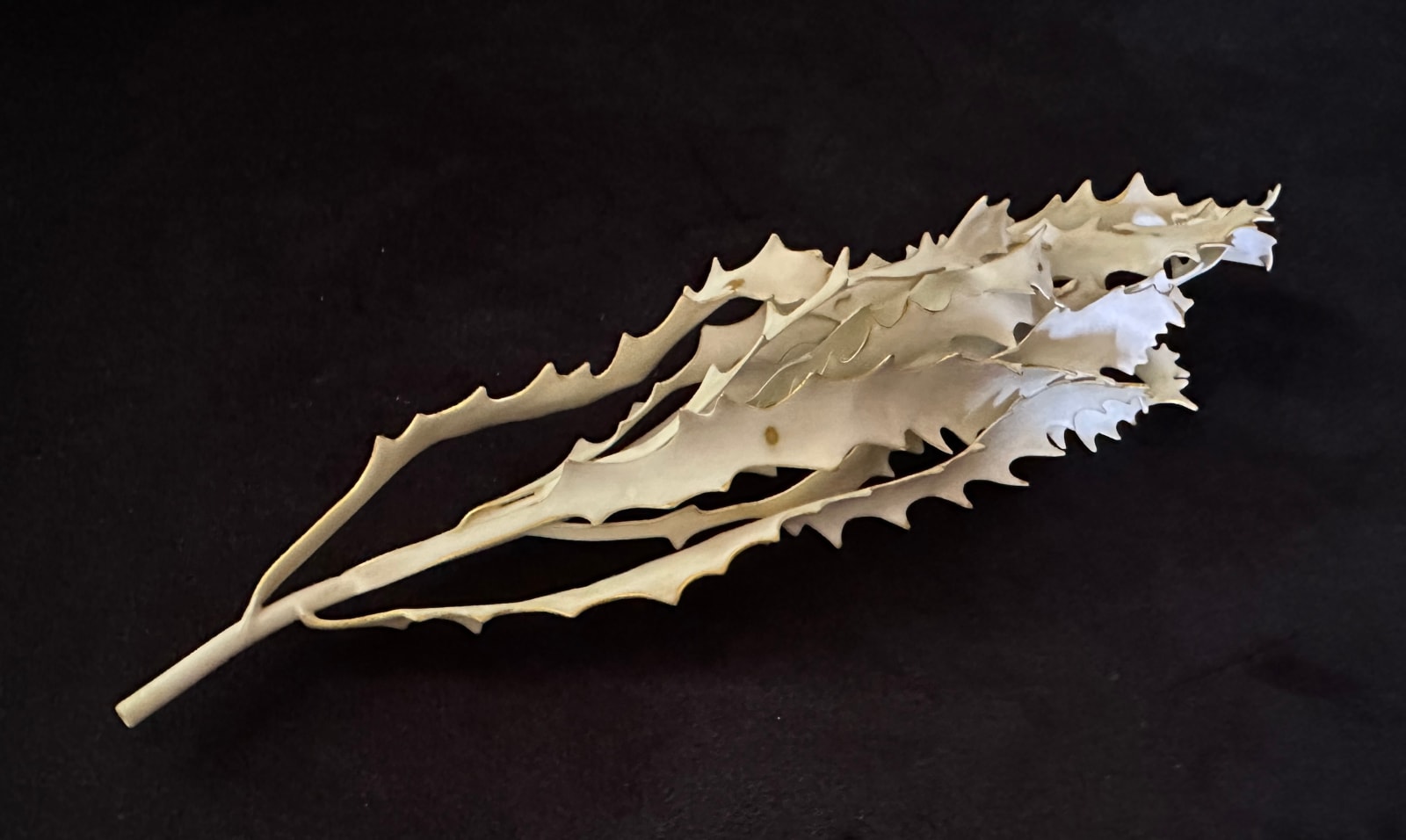 Jess Dare, Banksia Brooch, 2023