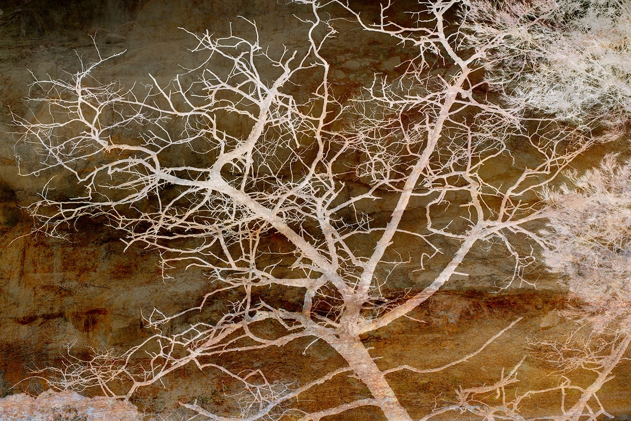 Troy Ruffels, Water, Branch, Earth and Rust, 2021
