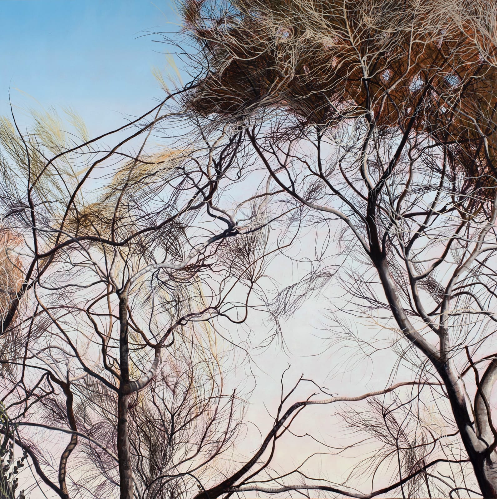 David Keeling, Detail in motion, 2022