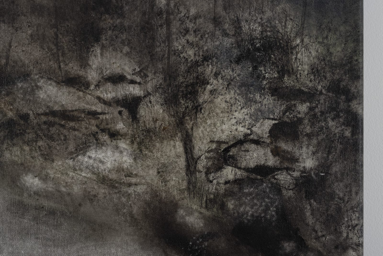 Lucinda Bresnehan, Muted fables