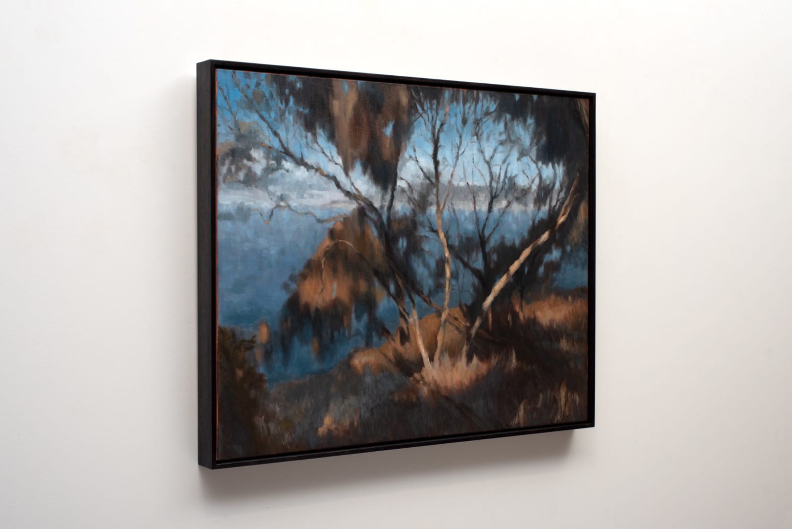 Hannah Webber, Tangled, 2025