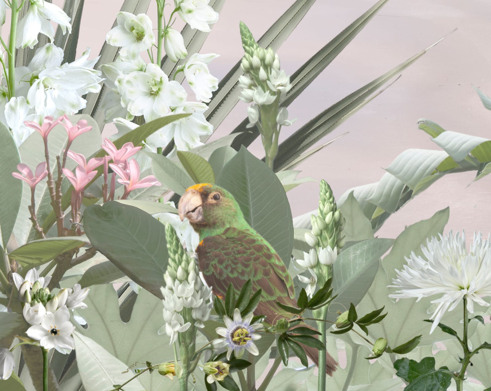 Valerie Sparks, Le Vol V, 2024